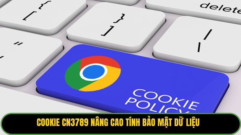 Cookie KUBET77 nâng cao tính bảo mật dữ liệu